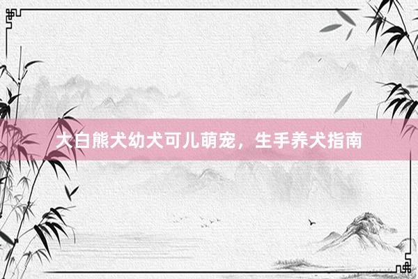 大白熊犬幼犬可儿萌宠,生手养犬指南