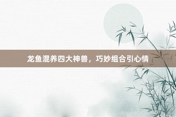 龙鱼混养四大神兽，巧妙组合引心情