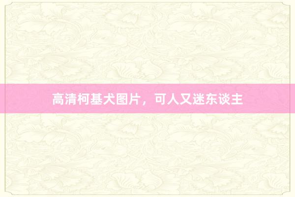 高清柯基犬图片,可人又迷东谈主